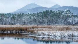 Zima v Máchově kraji